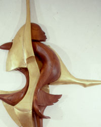 Balance Harmony and Order